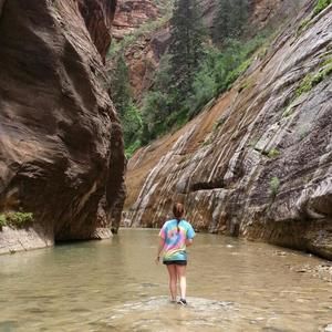 Meet your Posher, Laurel